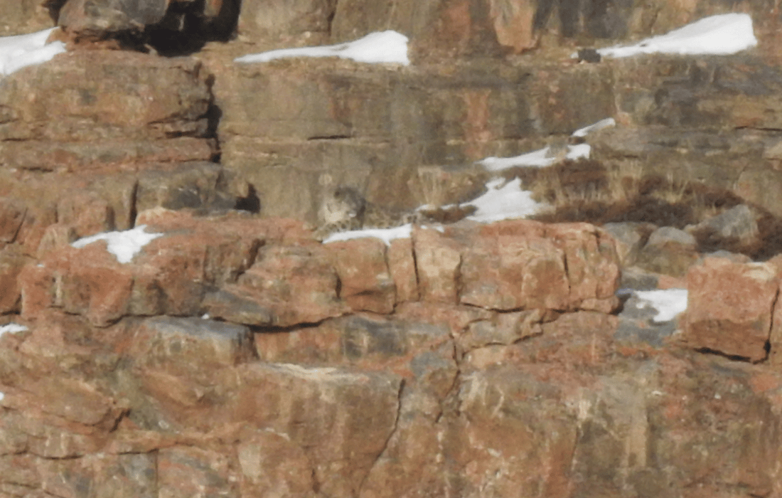 Image 73